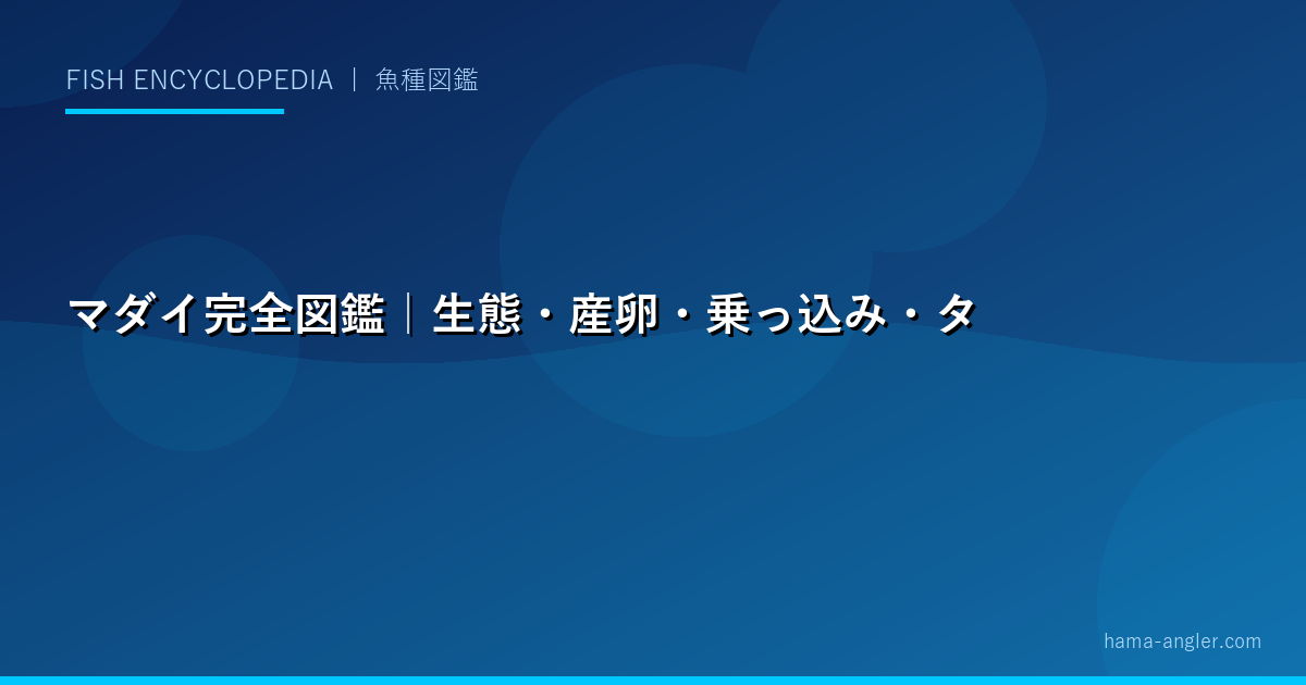 マダイ完全図鑑｜生態・産卵・乗っ込み・タイラバ・フカセ・コマセ釣り・料理まで「魚の王様」を徹底解説