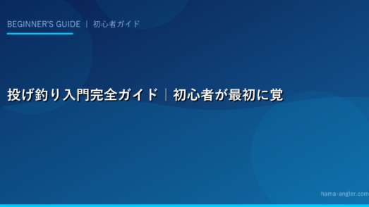 投げ釣り入門完全ガイド｜初心者が最初に覚えるべきタックル・仕掛け・投げ方・カレイ・キスの釣り方を徹底解説