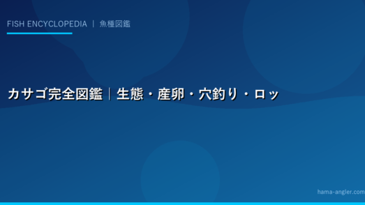 カサゴ完全図鑑｜生態・産卵・穴釣り・ロックフィッシュ・料理まで「根魚の王様」を徹底解説