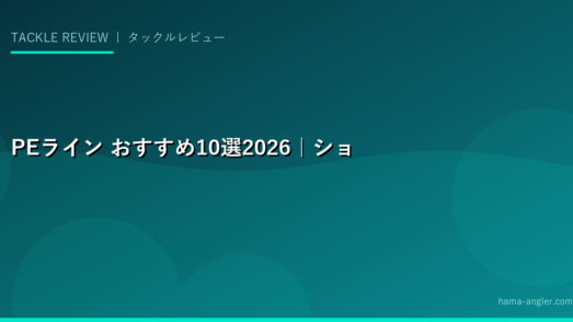 PEライン おすすめ10選2026｜ショアジギング・シーバス・エギング・船釣り用号数別完全比較ガイド