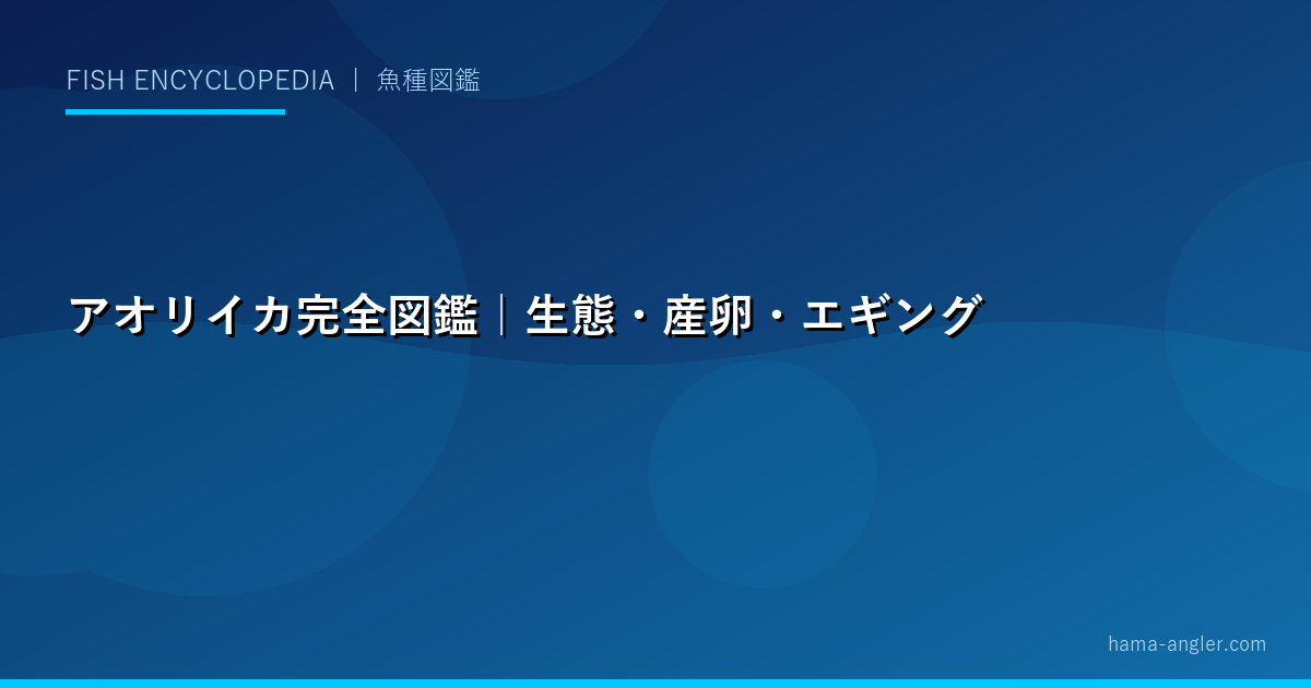 アオリイカ完全図鑑｜生態・産卵・エギング・ヤエン釣り・料理まで「イカの王様」を徹底解説