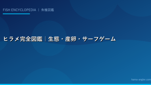 ヒラメ完全図鑑｜生態・産卵・サーフゲーム・泳がせ釣り・料理まで「高級魚の王様」を徹底解説