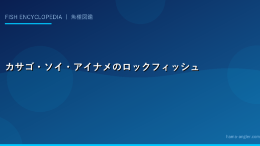 カサゴ・ソイ・アイナメのロックフィッシュ完全図鑑｜根魚3種の生態・釣り方・料理を徹底解説