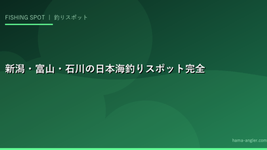新潟・富山・石川の日本海釣りスポット完全ガイド｜上越・能登半島・富山湾のおすすめ釣り場