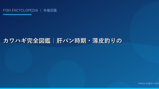 カワハギ完全図鑑｜肝パン時期・薄皮釣りの極意・肝醤油レシピまで徹底解説