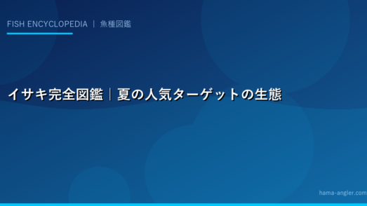 イサキ完全図鑑｜夏の人気ターゲットの生態・沖釣り・コマセ釣り・塩焼きレシピまで徹底解説