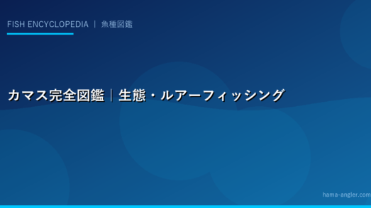 カマス完全図鑑｜生態・ルアーフィッシング・光り物反射の攻略・絶品料理まで徹底解説