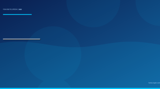 イシダイ完全図鑑｜遠州灘の磯で「縞模様の怪力魚」を仕留める生態・底物釣り・ぶっこみ・絶品料理まで徹底解説