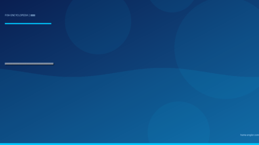 ホウボウ完全図鑑｜遠州灘の「海の翼竜」生態・サーフ釣り・船釣り・絶品料理まで徹底解説