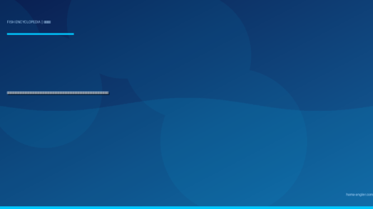 ニジマス（虹鱒）完全図鑑｜天竜川水系・奥浜名湖エリアの「渓流のレインボー」生態・ルアー・フライ・エサ釣り・料理まで徹底解説