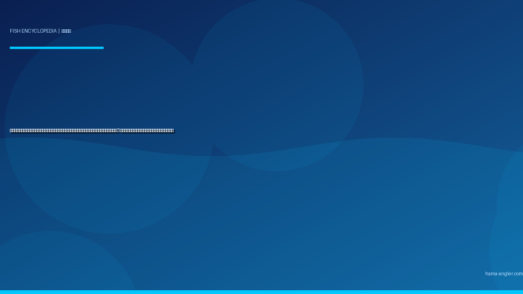 イワシ（マイワシ・カタクチイワシ・ウルメイワシ）完全図鑑｜遠州灘・浜名湖の「海の恵みの原点」3種の見分け方・サビキ攻略・絶品料理まで徹底解説