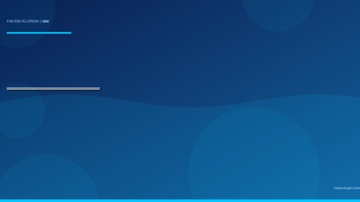 ヤリイカ（槍烏賊）完全図鑑｜遠州灘の冬〜早春を彩る「槍の穂先」生態・船イカメタル・エギング・沖漬けレシピまで徹底解説