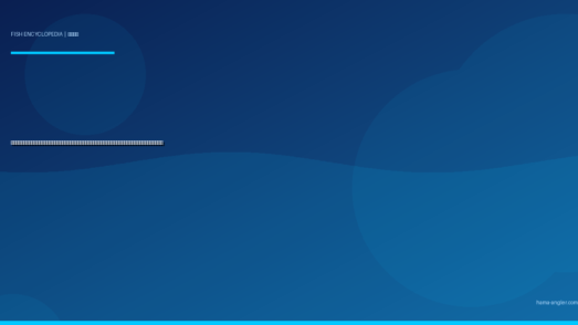 アオリイカ（障泥烏賊）完全図鑑｜遠州灘・浜名湖の「イカの王様」生態・エギング・ヤエン・泳がせ釣り・絶品料理まで徹底解説