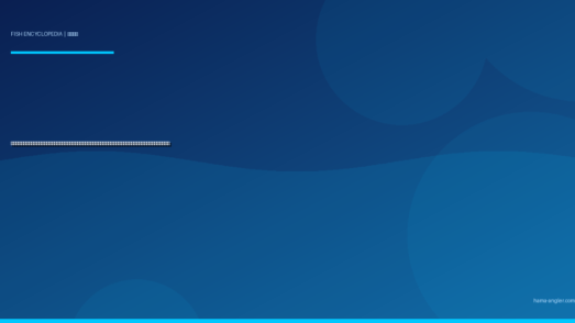 オオモンハタ（大紋羽太）完全図鑑｜遠州灘・浜名湖の「南からの刺客」生態・ロックフィッシュゲーム・船釣り・絶品料理まで徹底解説