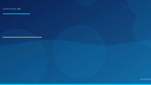 ホウボウ（魴鮄）完全図鑑｜遠州灘・浜名湖沖の「海底を歩く翼魚」生態・タイラバ・ジギング・船釣り・絶品料理まで徹底解説