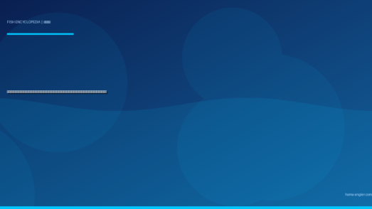 キビレ（黄鰭鯛・キチヌ）完全図鑑｜浜名湖の「黄金ヒレの韋駄天」生態・チニング・前打ち・ぶっこみ釣り・絶品料理まで徹底解説