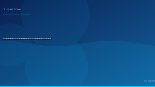 マトウダイ（的鯛・馬頭鯛）完全図鑑｜遠州灘沖の「的を背負う深海の狙撃手」生態・タイラバ・ジギング・船釣り・ムニエル＆薄造りレシピまで徹底解説