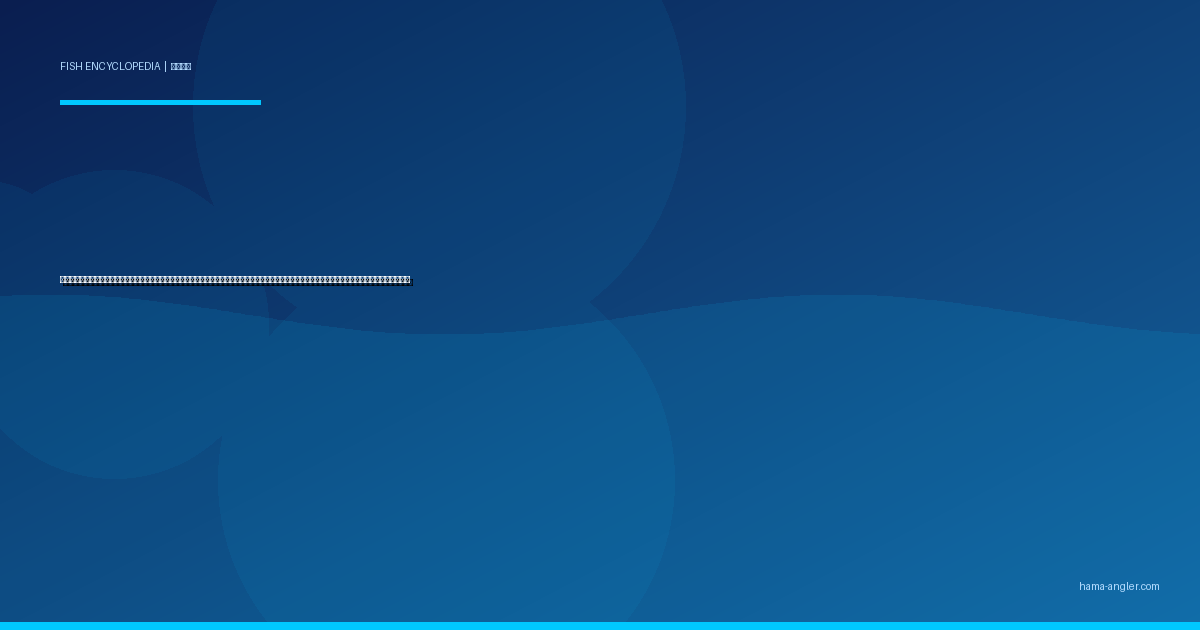 マトウダイ（的鯛・馬頭鯛）完全図鑑｜遠州灘沖の「的を背負う深海の狙撃手」生態・タイラバ・ジギング・船釣り・ムニエル＆薄造りレシピまで徹底解説