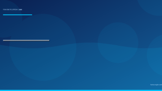 シロギス（白鱚）完全図鑑｜遠州灘サーフ・浜名湖の「砂浜の女王」生態・投げ釣り・ちょい投げ・船釣り・天ぷら＆刺身レシピまで徹底解説