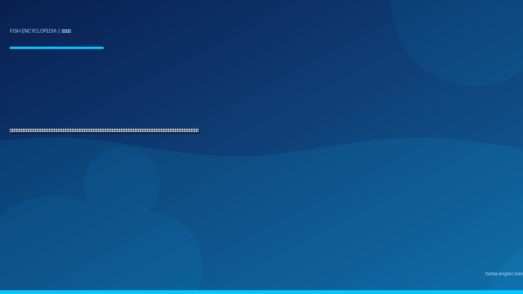 ブリ（鰤）完全図鑑｜遠州灘・御前崎沖の「青物三兄弟の次男坊にして出世魚の大本命」生態・ジギング・泳がせ釣り・ショアキャスティング・刺身＆ブリ大根レシピまで徹底解説