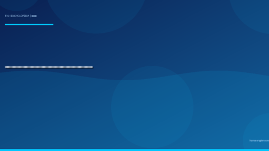 アオリイカ（障泥烏賊）完全図鑑｜浜名湖・遠州灘の「エギングの本命」生態・春イカ秋イカの攻略・ヤエン釣り・泳がせ釣り・刺身＆沖漬けレシピまで徹底解説