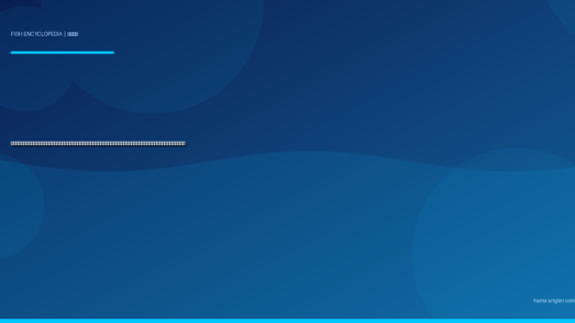 ヒラスズキ（平鱸）完全図鑑｜御前崎・遠州灘荒磯の「白波の支配者」生態・磯ヒラゲーム・シーバスとの見分け方・刺身＆塩焼きレシピまで徹底解説