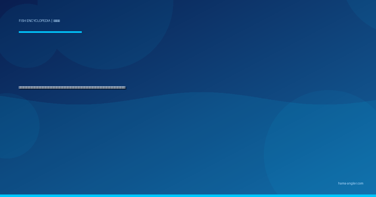 ヒラスズキ（平鱸）完全図鑑｜御前崎・遠州灘荒磯の「白波の支配者」生態・磯ヒラゲーム・シーバスとの見分け方・刺身＆塩焼きレシピまで徹底解説