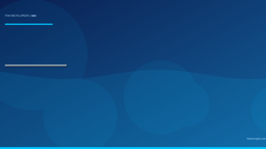 マダコ完全図鑑｜浜名湖・遠州灘の「海の忍者」生態・タコエギ・タコジグ・テンヤ仕掛け・絶品料理まで徹底解説