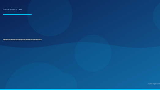 マアジ（真鯵）完全図鑑｜浜名湖・遠州灘の「大衆魚の王様」生態・サビキ・アジング・船釣り・絶品料理まで徹底解説