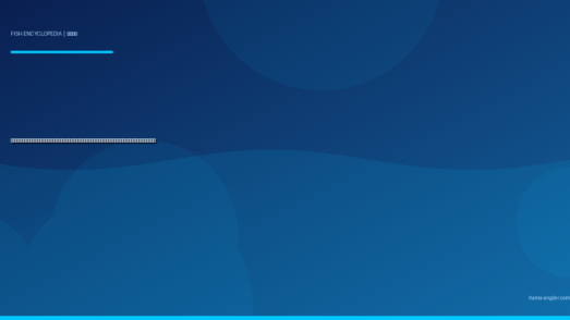 サバ（マサバ・ゴマサバ）完全図鑑｜遠州灘・浜名湖沖の「青物御三家」生態・サビキ・ジギング・しめ鯖レシピまで徹底解説