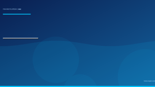 マトウダイ（的鯛）完全図鑑｜遠州灘の「聖ペテロの魚」生態・船釣り・ジギング・ムニエルレシピまで徹底解説