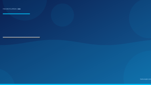 スズキ（シーバス）完全図鑑｜浜名湖・今切口・天竜川河口の「銀鱗の暴君」生態・ルアー・エサ釣り・料理まで徹底解説