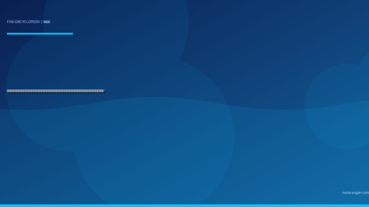 カンパチ（間八）完全図鑑｜遠州灘の「夏の帝王」生態・ショアジギング・船キャスティング・泳がせ釣り・絶品料理まで徹底解説