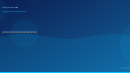 ヒラマサ（平政）完全図鑑｜遠州灘の「走る青物最速王」生態・ショアジギング・オフショアキャスティング・絶品料理まで徹底解説