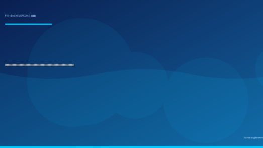 クロダイ（黒鯛・チヌ）完全図鑑｜浜名湖が誇る「堤防の王者」生態・チニング・フカセ釣り・落とし込み・絶品料理まで徹底解説