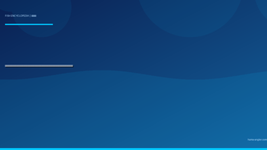 アカハタ（赤羽太）完全図鑑｜遠州灘・浜名湖の「赤い宝石」生態・ロックフィッシュゲーム・船釣り・絶品料理まで徹底解説