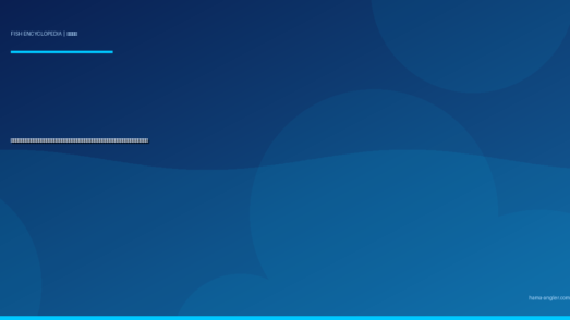 ヒラメ（鮃）完全図鑑｜遠州灘サーフの「砂底の伏兵」生態・ルアー釣り・泳がせ釣り・船釣り・絶品料理まで徹底解説