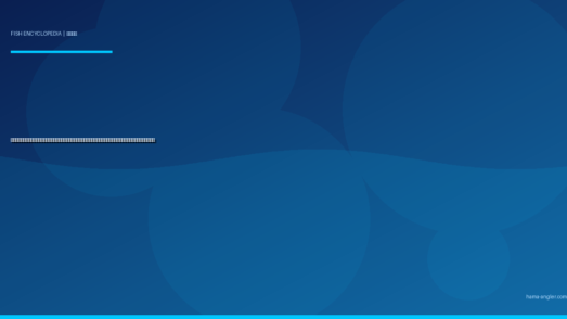 オオニベ（大鮸）完全図鑑｜遠州灘サーフの「砂漠の怪物」生態・サーフルアー・泳がせ釣り・船釣り・絶品料理まで徹底解説