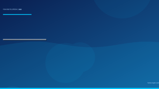 アカムツ（赤鯥・ノドグロ）完全図鑑｜遠州灘沖の「白身のトロ」生態・中深海スロージギング・餌釣り・炙り刺身レシピまで徹底解説