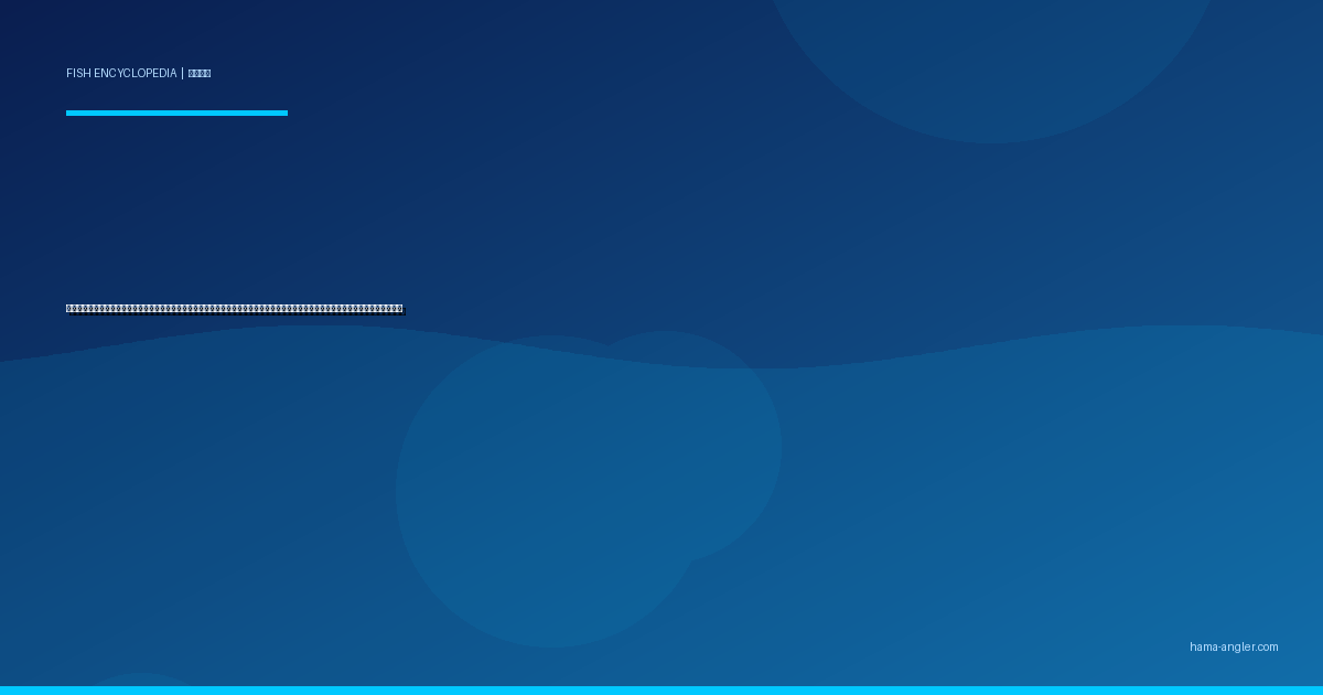 アカムツ（赤鯥・ノドグロ）完全図鑑｜遠州灘沖の「白身のトロ」生態・中深海スロージギング・餌釣り・炙り刺身レシピまで徹底解説