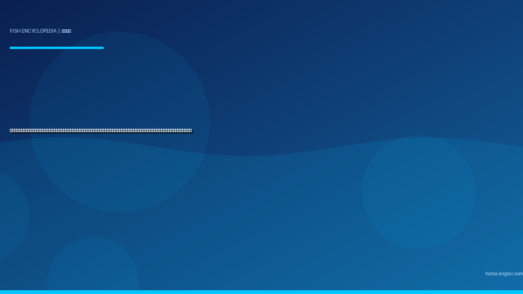 エソ（狗母魚・マエソ・ワニエソ）完全図鑑｜遠州灘サーフの「嫌われ外道」は実は高級かまぼこの原料！生態・見分け方・サーフルアー対策・絶品すり身料理まで徹底解説