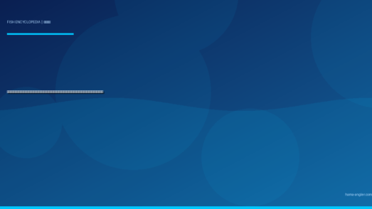 カワハギ（皮剥）完全図鑑｜遠州灘・浜名湖の「エサ取り名人」生態・船釣り・堤防釣り・肝醤油で味わう絶品料理まで徹底解説