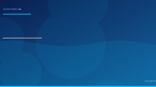 マコガレイ（真子鰈）完全図鑑｜浜名湖の「冬の座布団」生態・投げ釣り・ちょい投げ・船釣り・煮付けレシピまで徹底解説