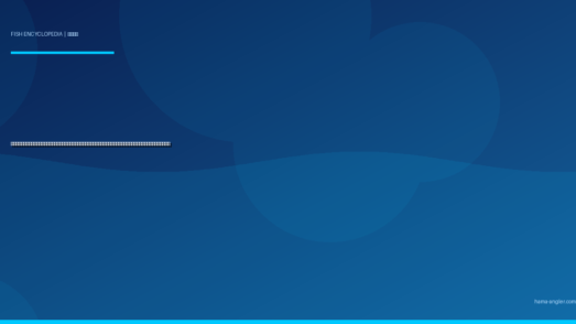 コウイカ（甲烏賊・スミイカ）完全図鑑｜浜名湖・遠州灘の「墨の忍者」生態・エギング・スッテ仕掛け・船釣り・絶品料理まで徹底解説