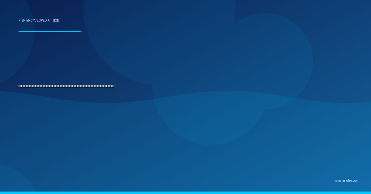 コウイカ（甲烏賊・スミイカ）完全図鑑｜浜名湖・遠州灘の「墨の忍者」生態・エギング・スッテ仕掛け・船釣り・絶品料理まで徹底解説