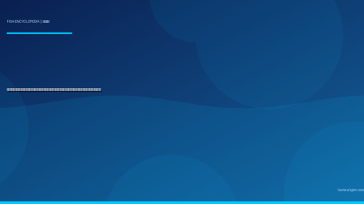 マアジ（真鯵）完全図鑑｜浜名湖・遠州灘の「大衆魚の最高峰」生態・サビキ・アジング・船釣り・なめろうレシピまで徹底解説