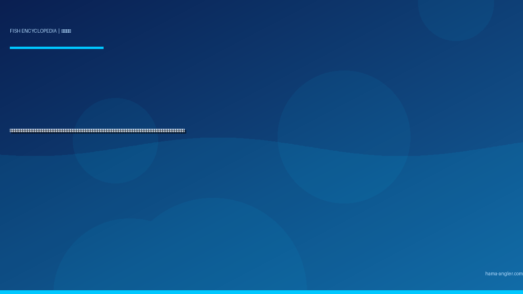 スズキ（鱸・シーバス）完全図鑑｜浜名湖・今切口・天竜川河口の「銀鱗の帝王」生態・シーバスゲーム・ウキ釣り・泳がせ釣り・洗い＆ムニエルレシピまで徹底解説