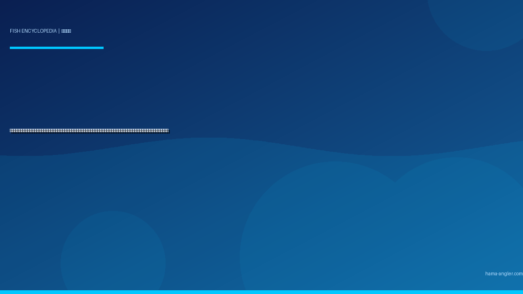 コブダイ（瘤鯛・カンダイ）完全図鑑｜遠州灘・浜名湖の「磯の大仏」生態・ぶっこみ釣り・落とし込み・ルアー釣り・煮付け＆鍋レシピまで徹底解説