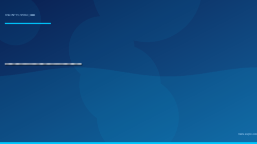 クロダイ（黒鯛・チヌ）完全図鑑｜浜名湖の「汽水の黒武者」生態・チニング・フカセ釣り・前打ち・落とし込み・刺身＆塩焼きレシピまで徹底解説