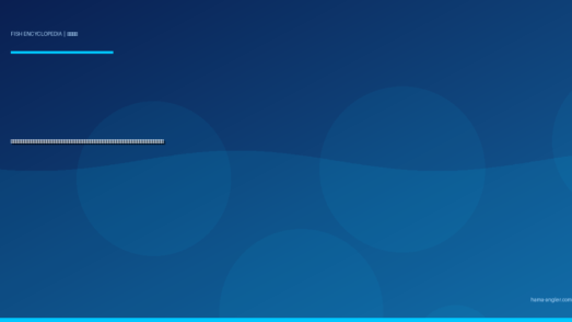 アマダイ（甘鯛）完全図鑑｜遠州灘沖の「海底の貴公子」生態・テンヤ・タイラバ・エサ釣り・松笠揚げ＆昆布〆レシピまで徹底解説